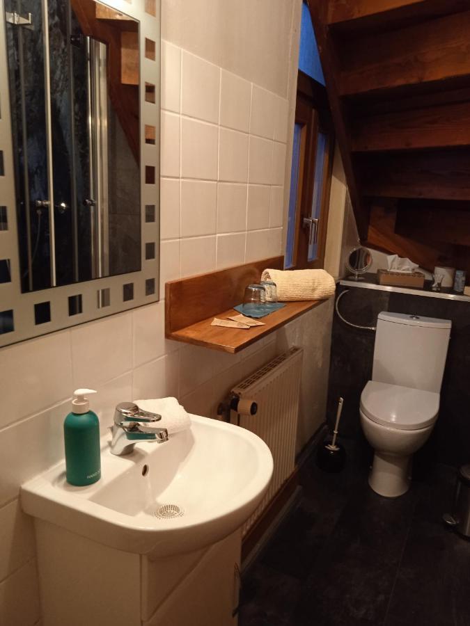 Zum Ginkgobaum Otel Stadtilm Dış mekan fotoğraf
