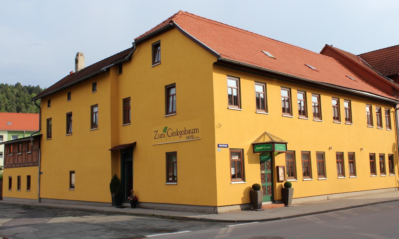Zum Ginkgobaum Otel Stadtilm Dış mekan fotoğraf